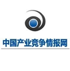 中國(guó)產(chǎn)業(yè)競(jìng)爭(zhēng)情報(bào)網(wǎng) 專業(yè)信息咨詢服務(wù)的戰(zhàn)略價(jià)值與應(yīng)用