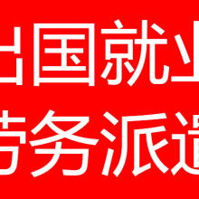信息咨詢(xún)服務(wù) 連接知識(shí)與需求的橋梁
